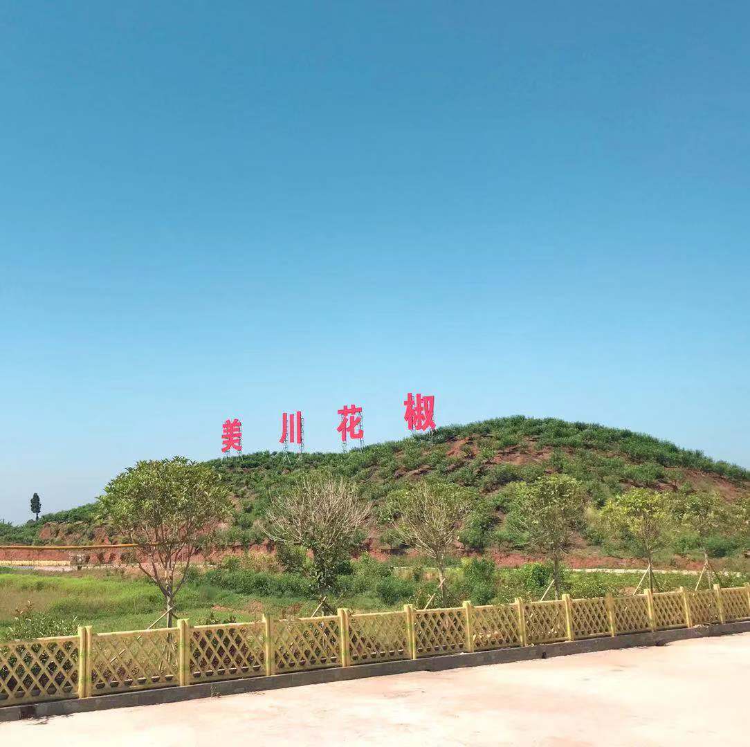 村企共創(chuàng)，建美麗宜居鄉(xiāng)村