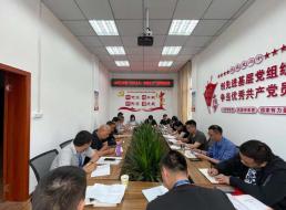 公司三支部召開黨員大會暨“形式主義、官僚主義”集中整治工作會