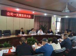 公司一支部開展 “學黨史、強信念、知黨恩、跟黨走” 黨史讀書交流會主題黨日活動