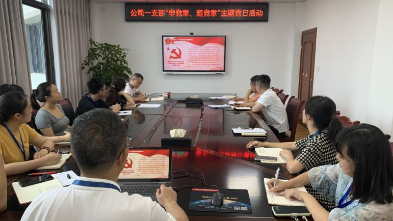 清源水務(wù)公司黨委組織開展“學(xué)黨章、遵黨章”系列主題黨日活動